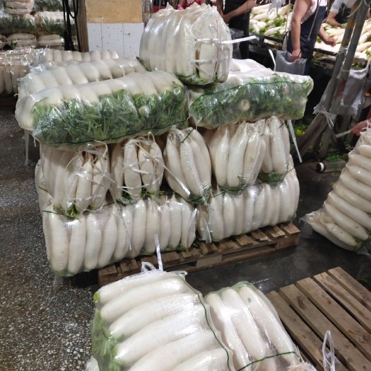 利川市 白萝卜