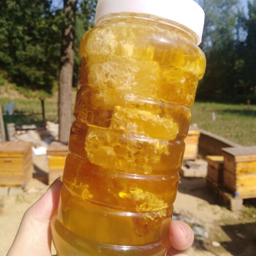 鲁山县 土蜂蜜