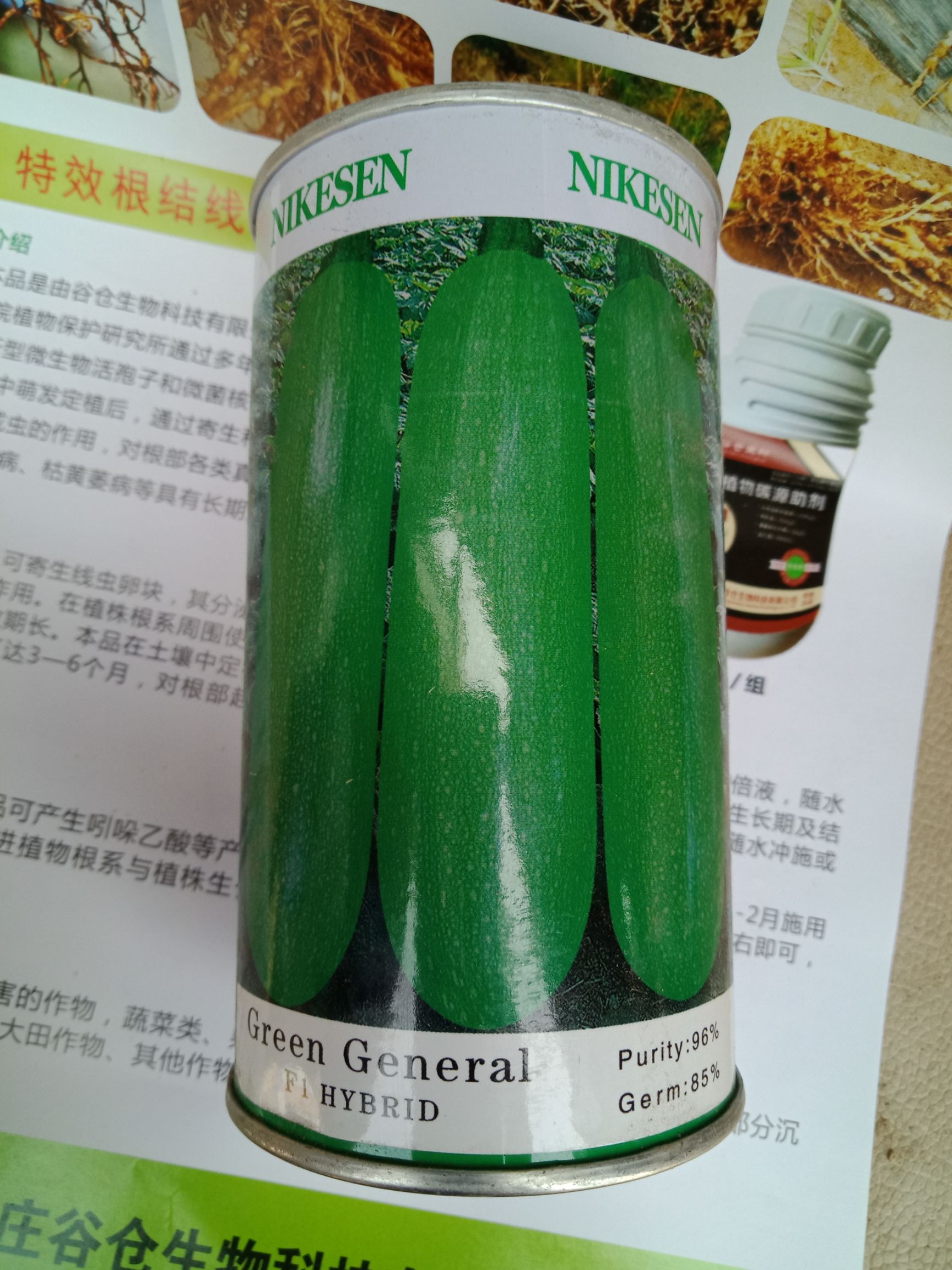 绿皮西葫芦种子 瓜条长，颜色绿