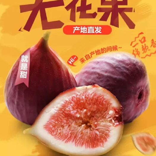 石门县波姬红无花果 90-100克