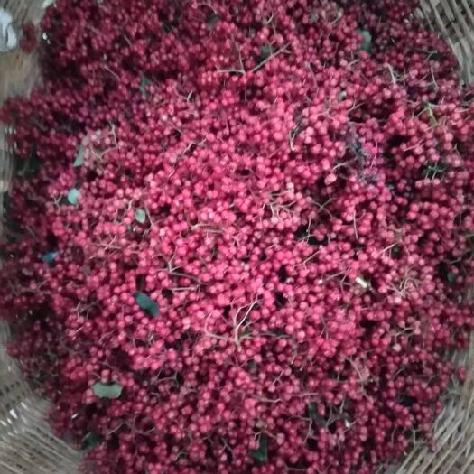 礼县 礼县花椒