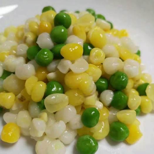 湛江 精品玉米粒
