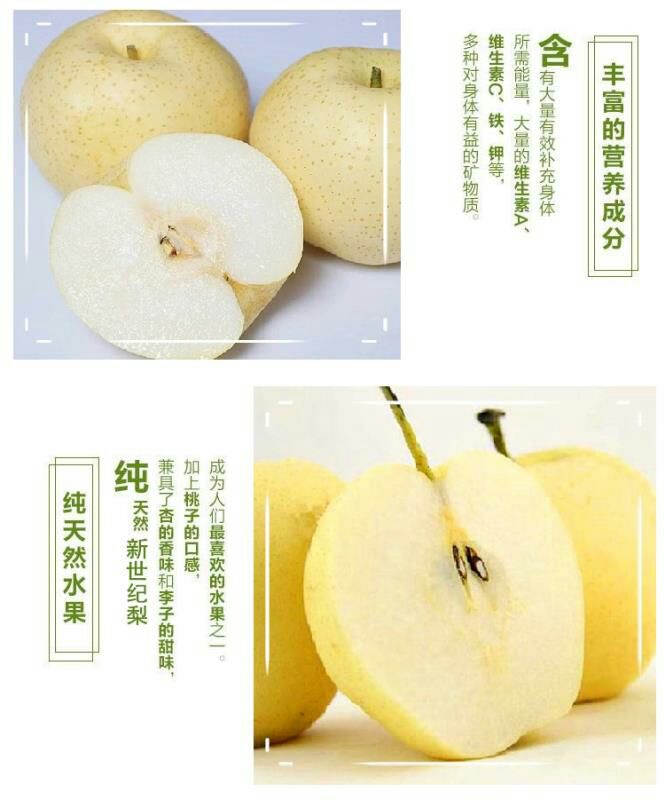 炎陵新世纪梨新鲜水果现摘现发皮薄肉厚高山雪晶梨黄金梨包邮