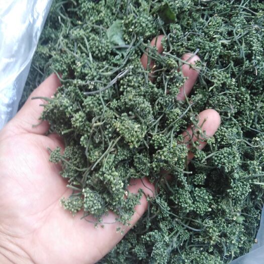 抚松县 长白山～人参花茶～包邮24小时发货
