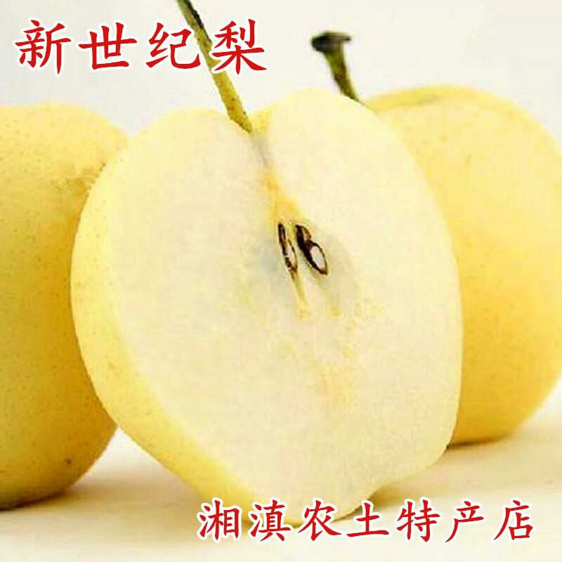 炎陵新世纪梨新鲜水果现摘现发皮薄肉厚高山雪晶梨黄金梨包邮