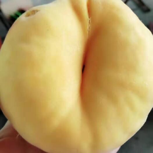 沂源县黄金蜜蟠桃 5-6两