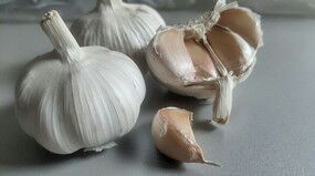 单县 家里几亩大蒜