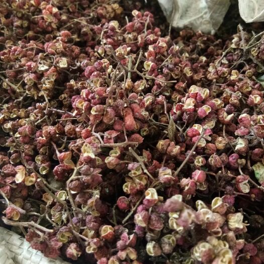 芮城县大红袍花椒 高山大红袍  色亮味香  自然晒干为主  毛货（注意）