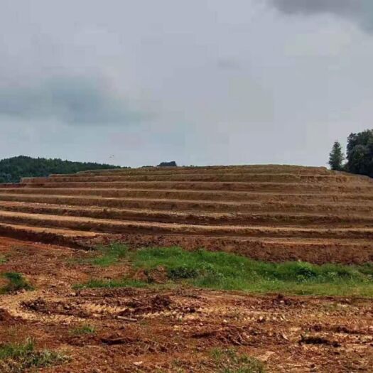 南昌旱地 山地，小陡坡