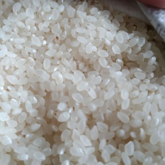 法库县有机富硒米 一等品 一季稻 粳米