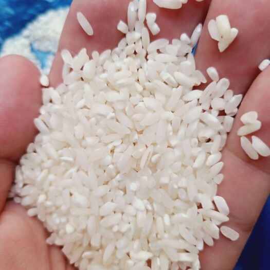 横峰县籼米 一等品 早稻 籼米