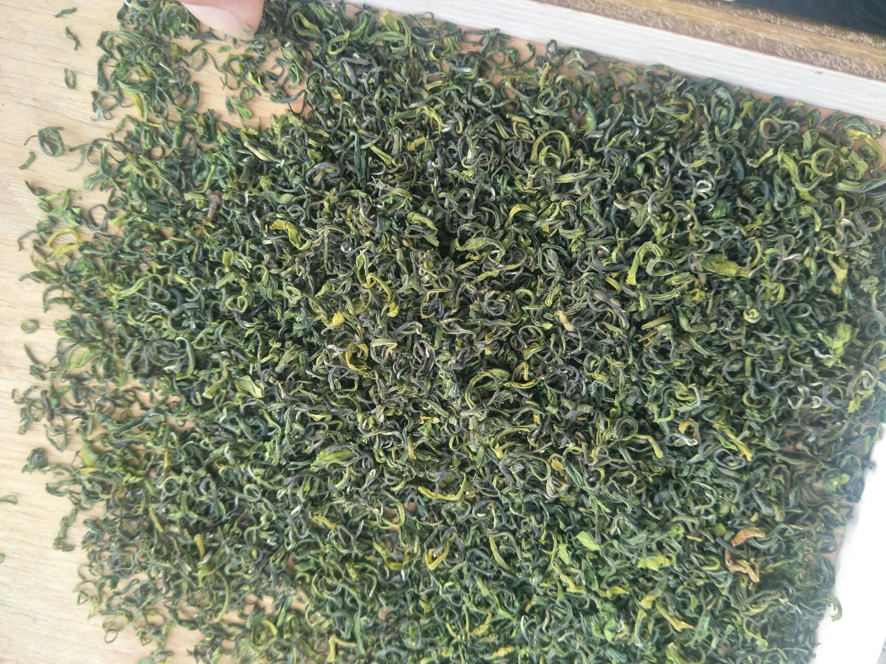 高山绿茶 白茶烘青