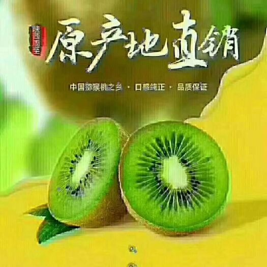 周至县 周至猕猴桃