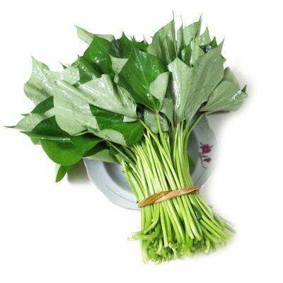 伊川县 纯绿色红薯叶无打农药
