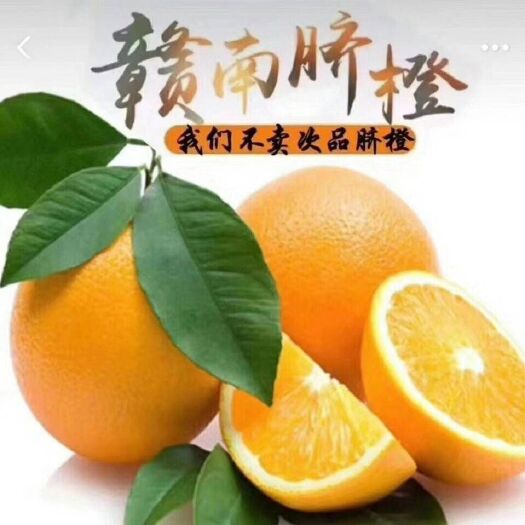 瑞金市 预售正宗赣南脐橙，产地直销，寻求多家批发商，电商，微商，合作