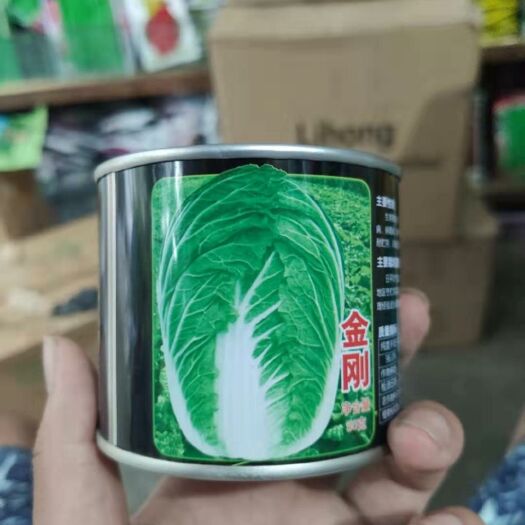 夏邑县 金刚大白菜种子