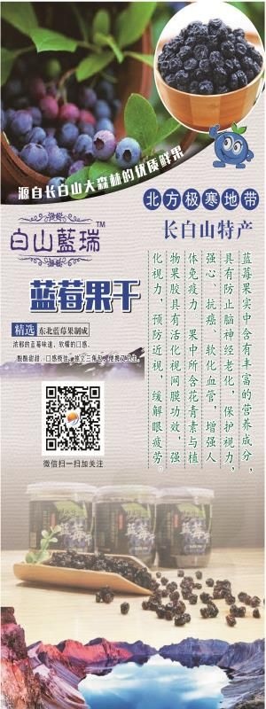 白山野生蓝莓果干 长白山蓝莓果干