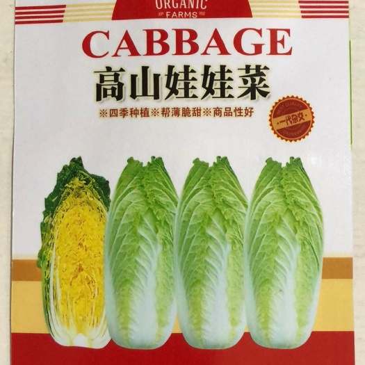 夏邑县 高山娃娃菜种子 白菜种子 韩国引进品种 抗病高产