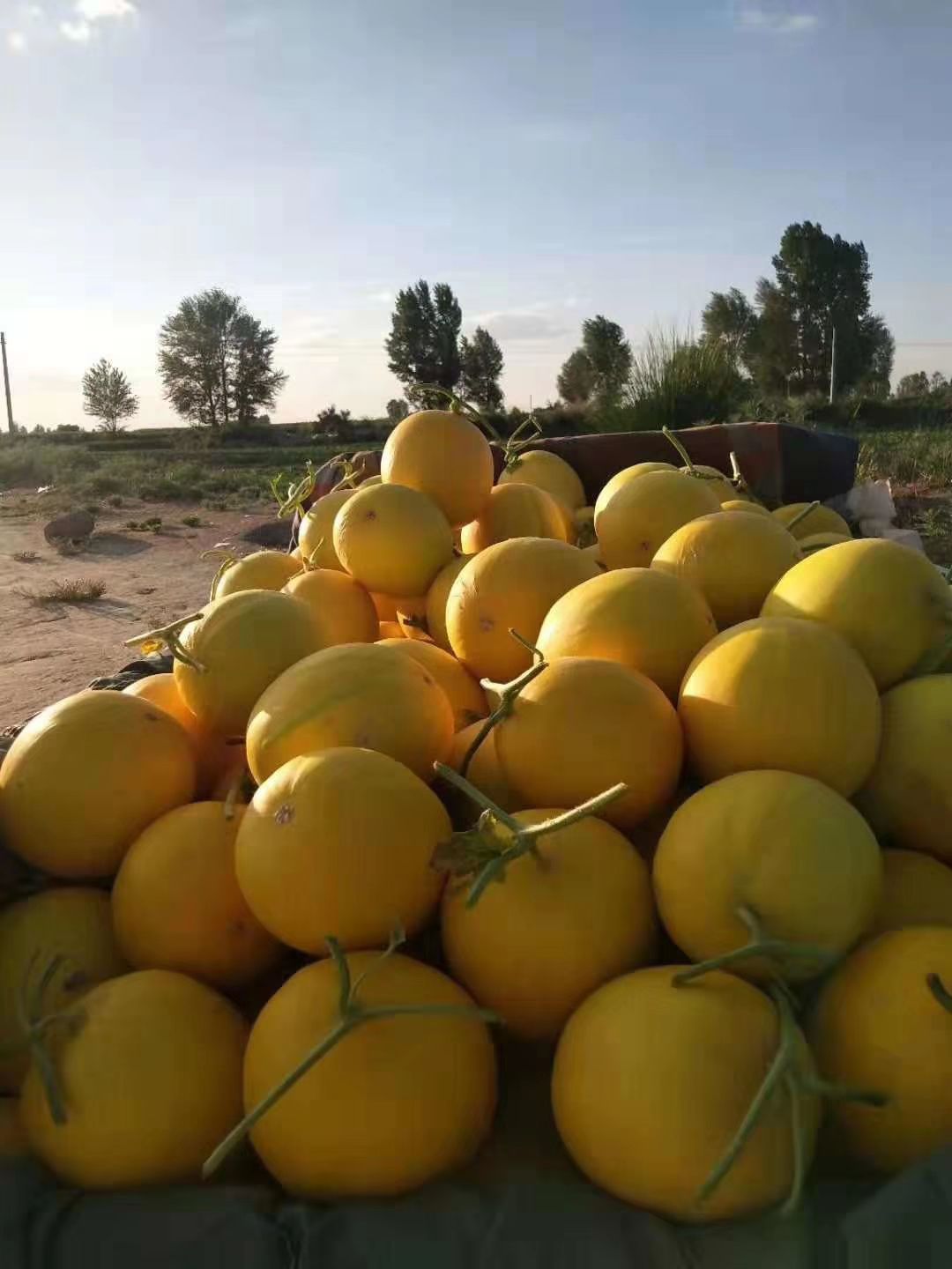  ڹܹϽ챦٣