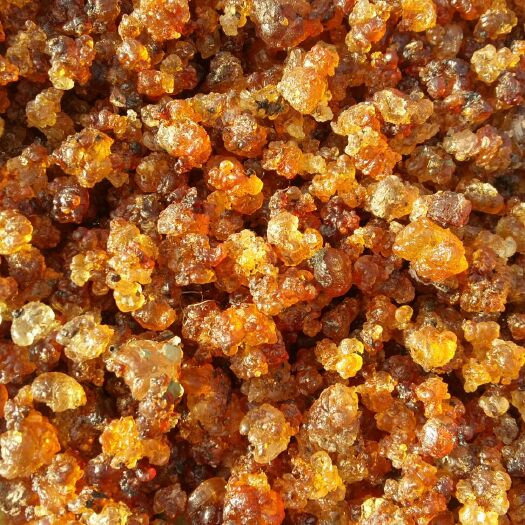 六安 大别山天然桃胶