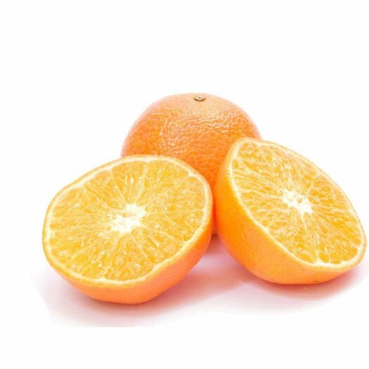 澧县蜜桔  大量出售