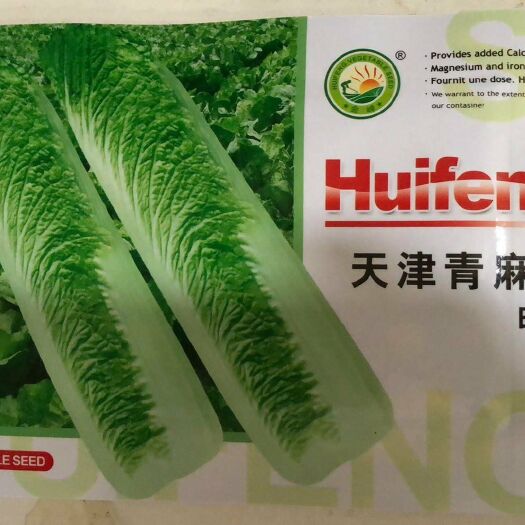 夏邑县 天津青麻叶 白菜种子 抗病高产 耐贮运