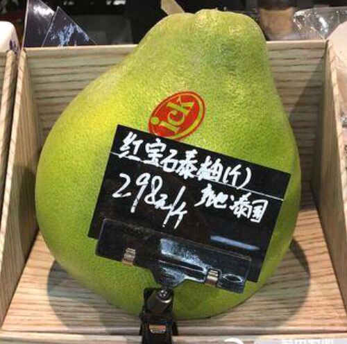 泰国青柚苗 正宗泰国红宝石柚苗，种植2年结果