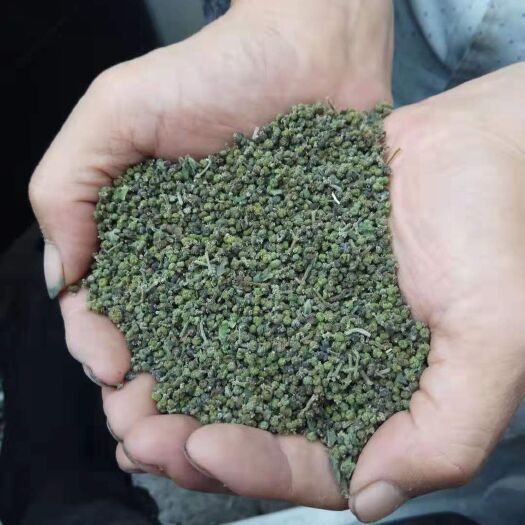 丽水中药材山茱萸
