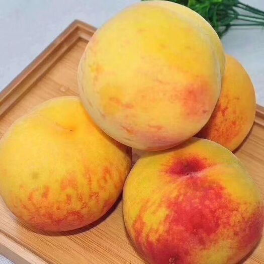 砀山县黄金黄桃 55mm以上 3 - 4两