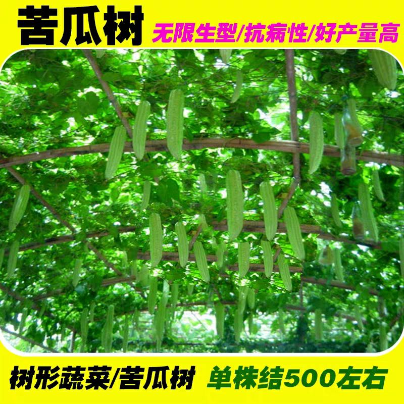 ̿ Ӵ̿ļ＾ļ쿹߲߲