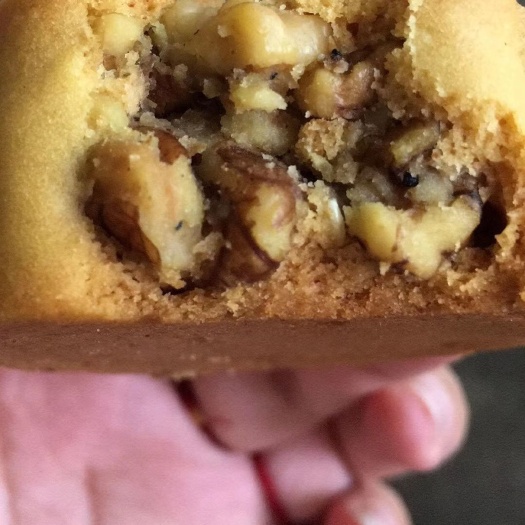 广元 中子纯核桃月饼