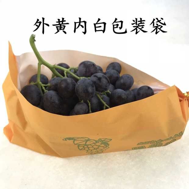 纸袋 量大价优  厂家直销  诚信经营