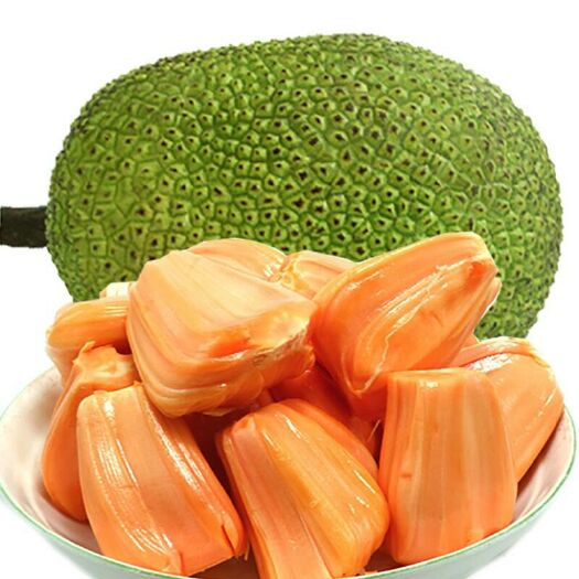 灵山县 红肉菠萝蜜苗