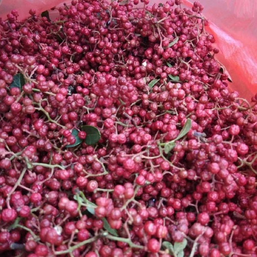 昭通藤椒 一级 鲜花椒