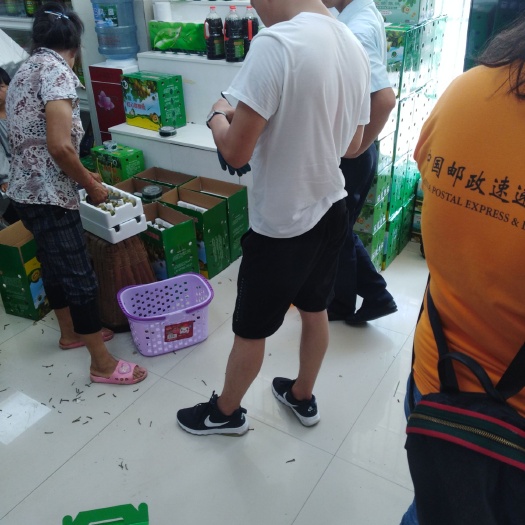 六盘水金桃猕猴桃 50克以上