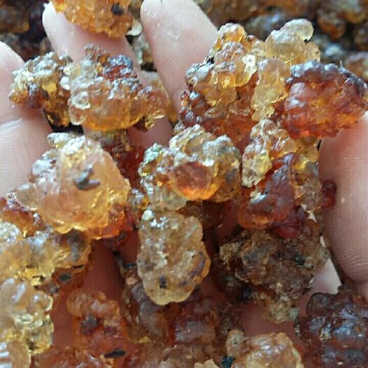 六安 大別山天然桃胶。