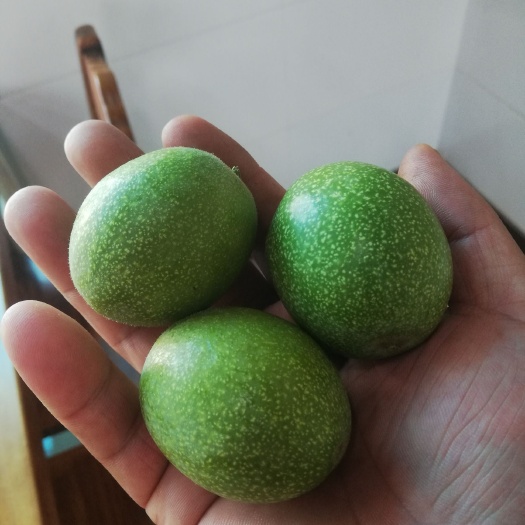 临城县 香玲核桃