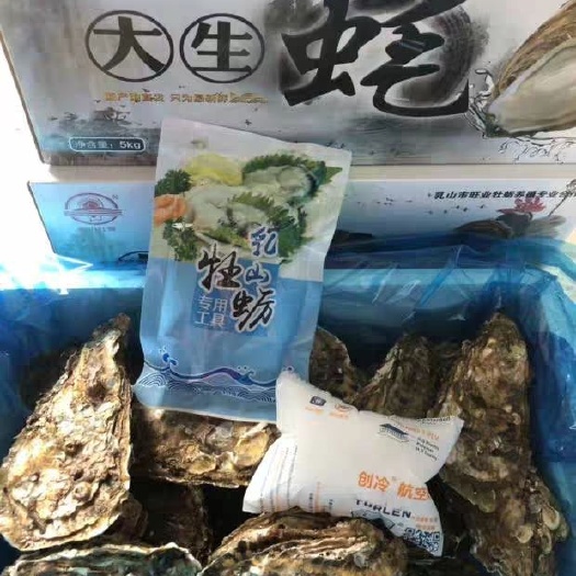  乳山蚝，大连蚝，生蚝，牡蛎，海蛎子全国发货