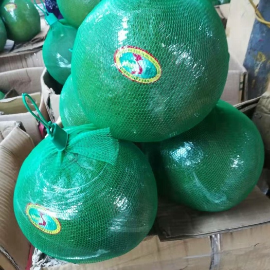 红河县红皮红肉火龙果 品种多