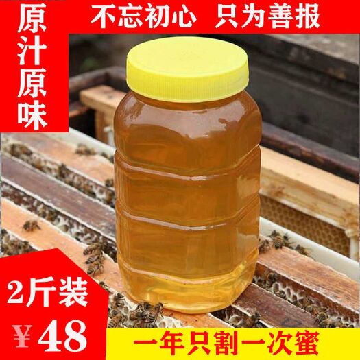 洛阳枣花蜜 土蜂蜜 农户直供蜂蜜