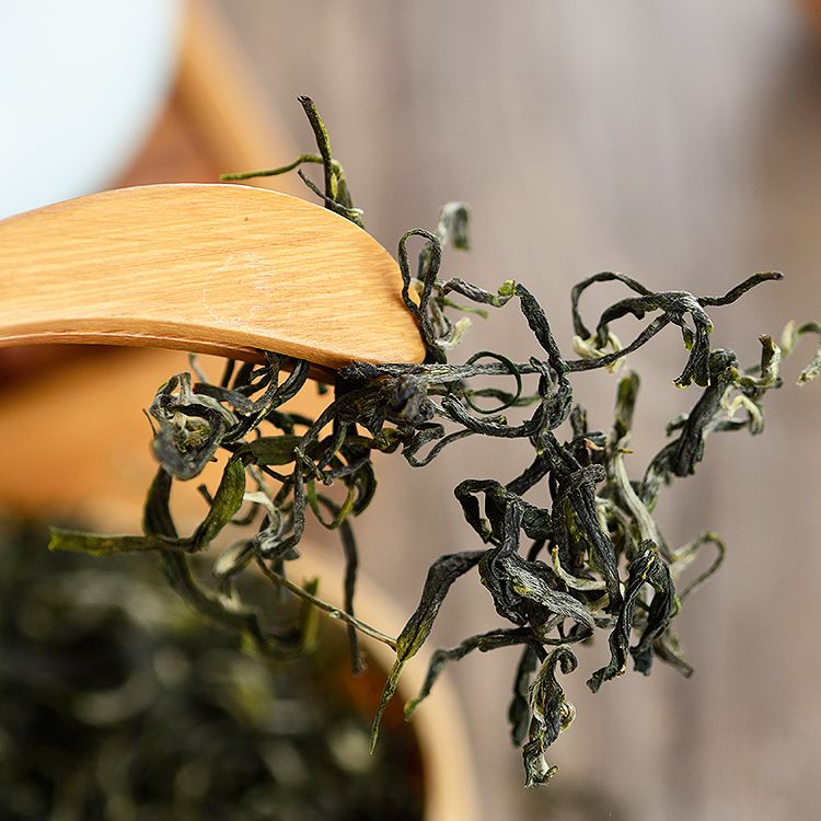  广西绿茶毛峰毛尖