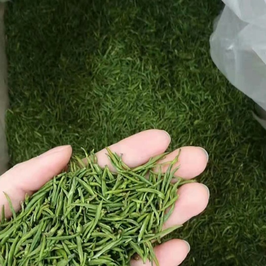 岳阳君山银针 一级 散装