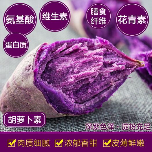  現(xiàn)挖新鮮紫薯農(nóng)家紫心紅薯紫色番薯地瓜沙地紫香蜜薯