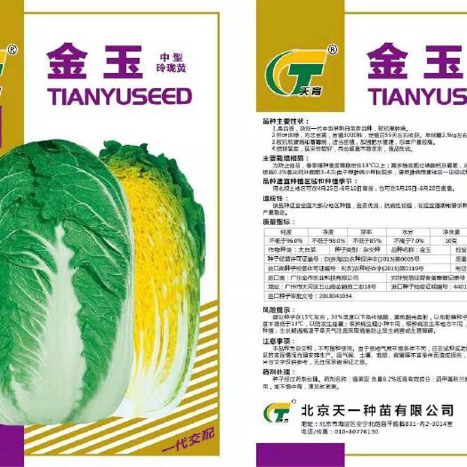 三河市普通白菜种子 大田用种 99% 