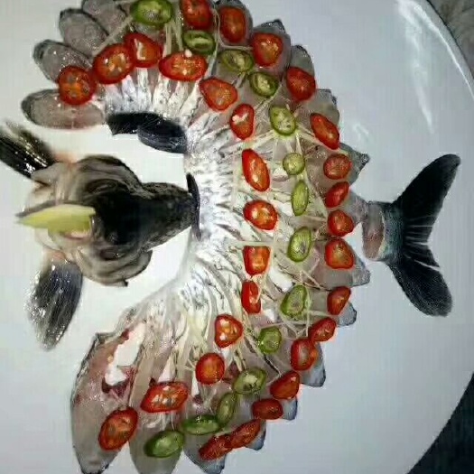 鹤山市水库草鱼 懂食才懂鱼性