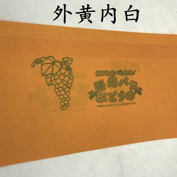 纸袋 量大价优  厂家直销  诚信经营