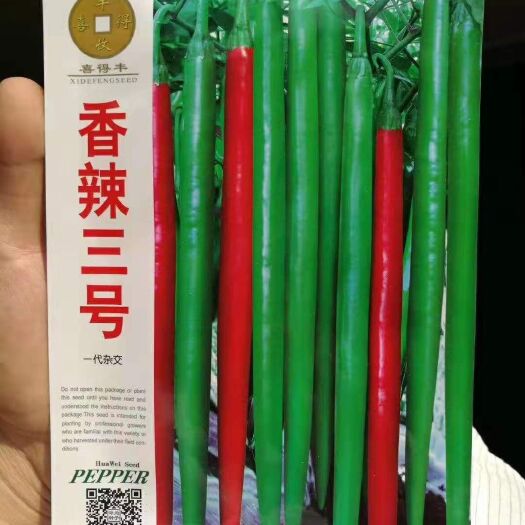 郑州香辣三号中早熟深绿色辣味香浓果型顺直连续坐果多华为种业