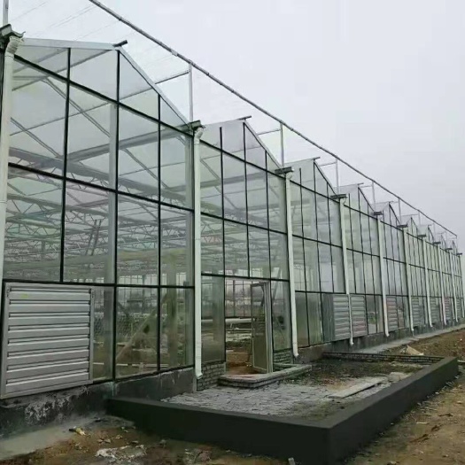 沭阳县文洛式温室大棚 打造一流产品