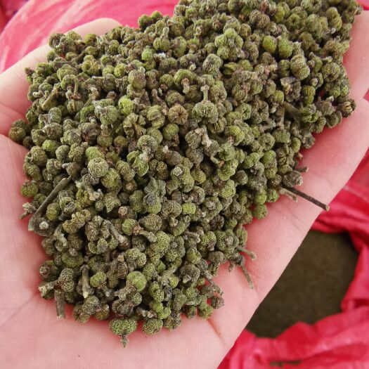 河池吴茱萸 颜色纯绿，含量高，杆子干净，一手货源