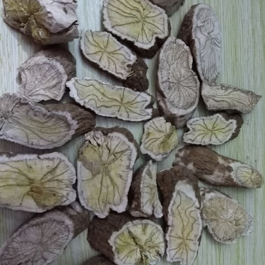 江门 天然防己